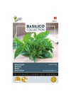 Kép 1/2 - Buzzy® Sweet (Basil) Small-leaf (apró levelű) bazsalikom