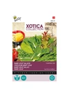Kép 1/2 - Buzzy® Xotica Mini saláta, Oriental mix