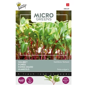 Buzzy® (Microgreens) Mángold - Rainbow mixture