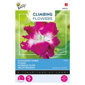 Buzzy® (Climbing Flowers) Hajnalka - Pink Double