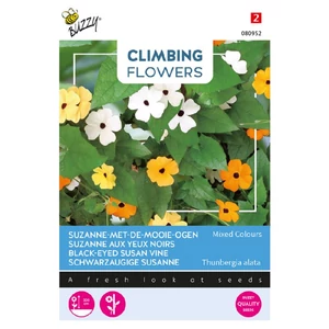 Buzzy® (Climbing Flowers) Thunbergia, szárnyas feketeszem Mix