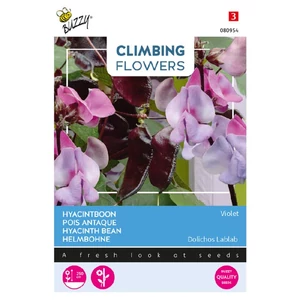 Buzzy® (Climbing Flowers) Jácintbab