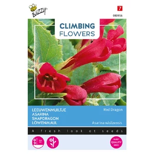 Buzzy® (Climbing Flowers) Futó oroszlánszáj - Red Dragon