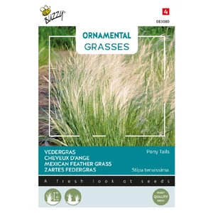 Buzzy® (Ornamental Grasses) Mexikói Árvalányhaj 'Ponytails'