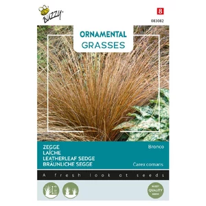Buzzy® (Ornamental Grasses) Csavartlevelű sás 'Bronco'