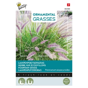 Buzzy® (Ornamental Grasses) Évelő Tollborzfű