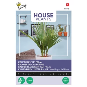 Buzzy® (House Plants) Kaliforniai Washington-pálma