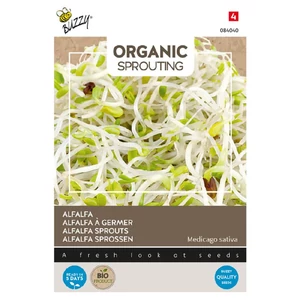 Buzzy® (BIO Organic Sprouting) Lucerna