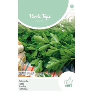 Petrezselyem - Parsley GeAnt D'Italie (Petroselinum Sativum)