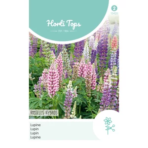 Csillagfürt (Lupinus) Russell's Hybriden Mix