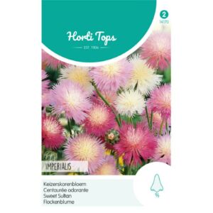 Búzavirág, illatos (Centaurea moschata) Imperialis Mix