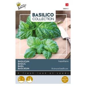 Buzzy® (Basil) Napolitano bazsalikom