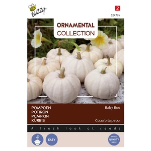 Buzzy® (Ornamental), Sütőtök Baby Boo