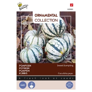 Buzzy® (Ornamental) Sütőtök Sweet Dumpling