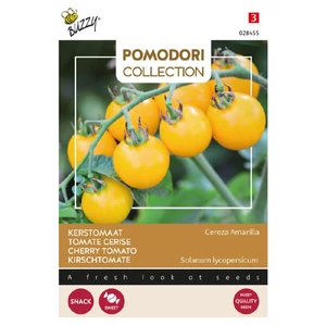 Buzzy® (Pomodori), Koktél paradicsom Cereza Amarilla