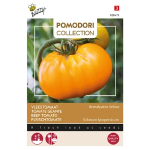 Buzzy® (Pomodori), Paradicsom Brandywine Yellow