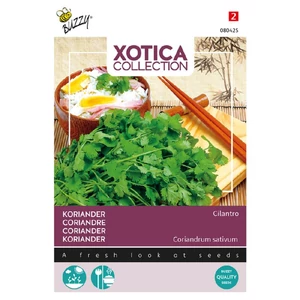 Buzzy® Xotica Koriander