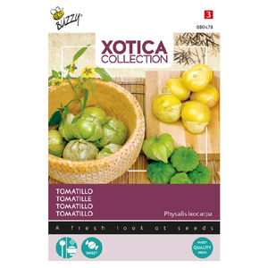 Buzzy® Xotica Tomatillo, Mexikói földicseresznye