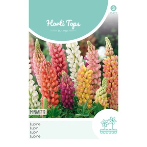 Csillagfürt (Lupinus) Minarette Mix
