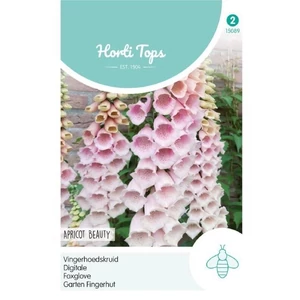 Gyűszűvirág (Digitalis pur.) Apricot Beauty