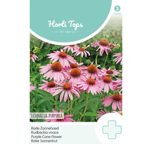 Kasvirág (Echinacea purpurea)