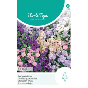 Kerti viola (Matthiola incana) Ten Week duplavirágú színkeverék