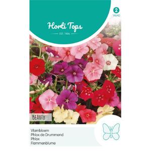 Lángvirág, Phlox Drum. Nana Compacta Beauty Mix