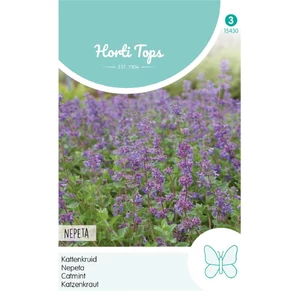 Macskamenta (Nepeta m. x Faassenii)