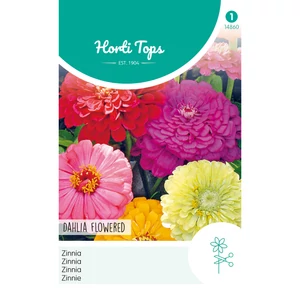Rézvirág (Zinnia) Dahlia Teltvirágú Mix