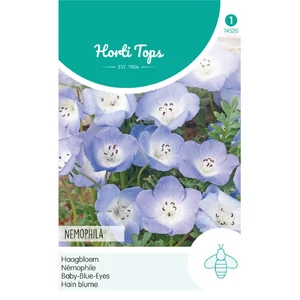 Ötpettyesvirág (Nemophila) Insignis Sky-Blue