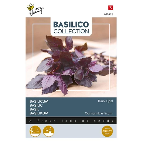 Buzzy® (Basil) Dark Opal bazsalikom