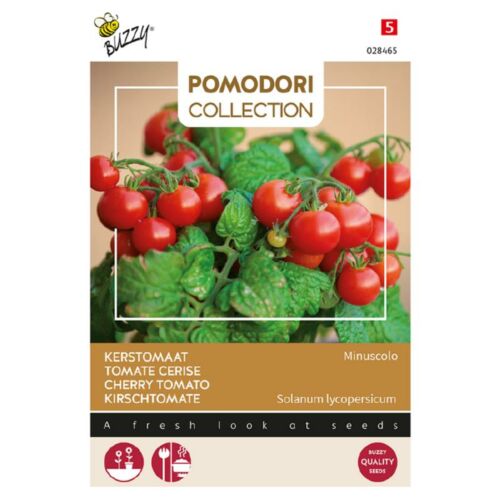 Buzzy® (Pomodori), Paradicsom Micro Tom F1