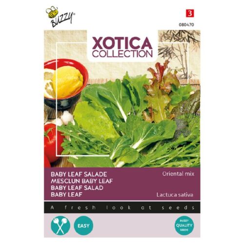 Buzzy® Xotica Mini saláta, Oriental mix
