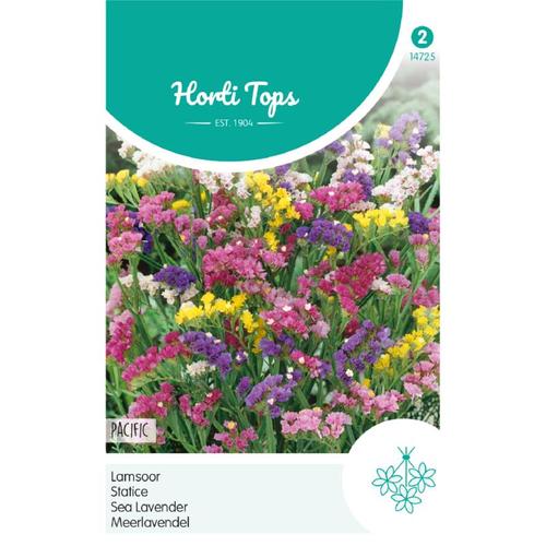 Egynyári sóvirág (Limonium sinuatum) Pacific Mixed