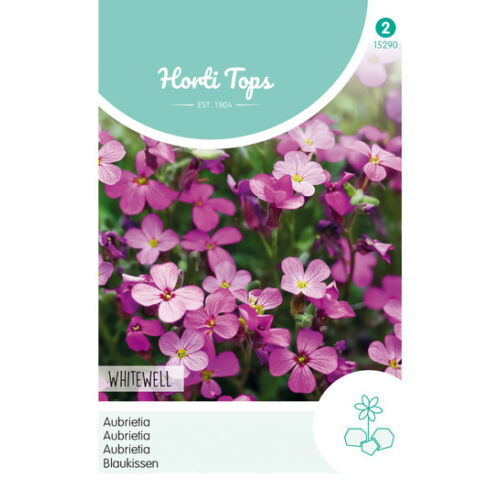 Pázsitviola (Aubrieta) Whitewell Violett
