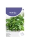 Fodormenta (Mentha spicata)